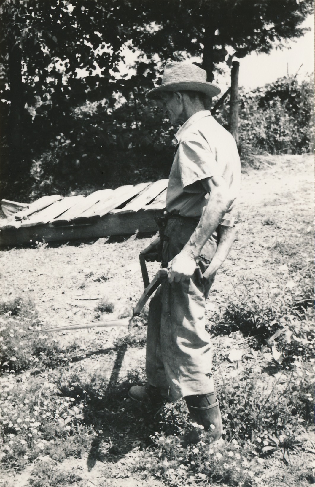 eika image